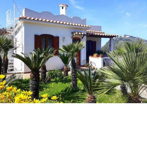 Holiday Apartments