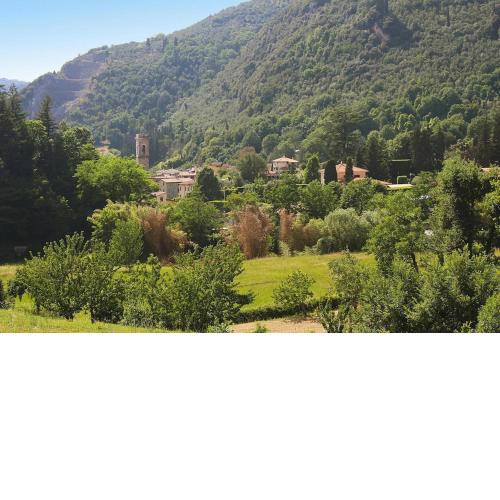 Holiday home Casa Paola, Camaiore