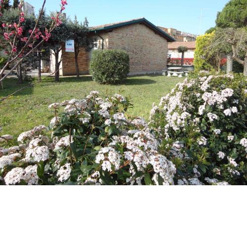 Holiday home in Porto Santa Margherita 24771