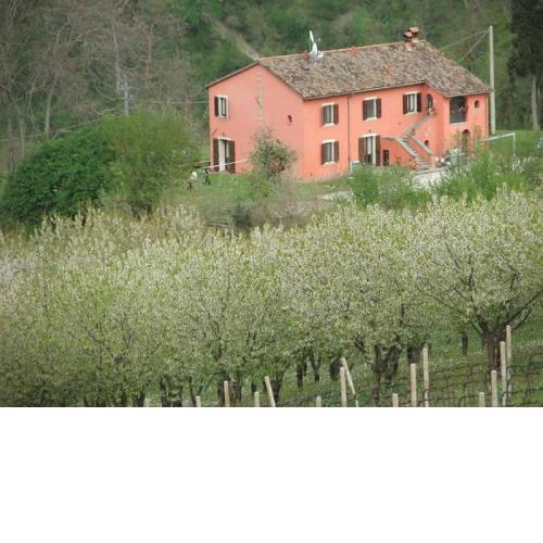 Holiday Home in Tredozio with Garden BBQ Parking