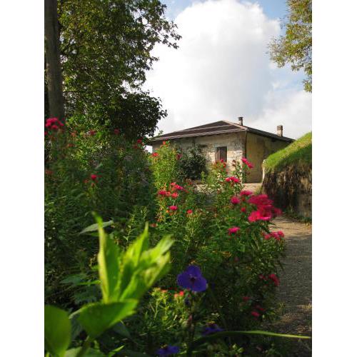 Holiday home Maso Mersi