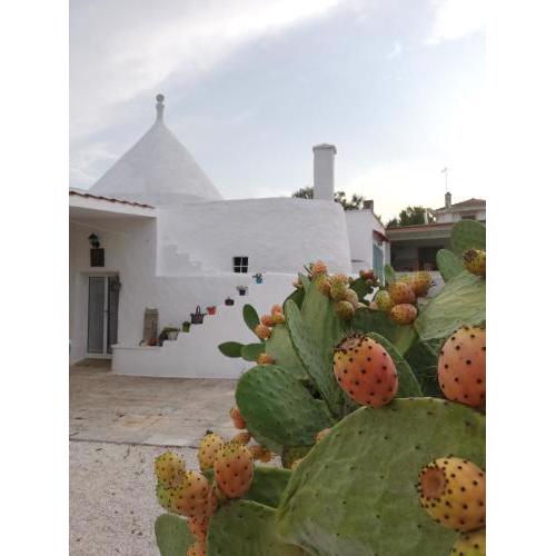 Holiday Home Trullo Antico