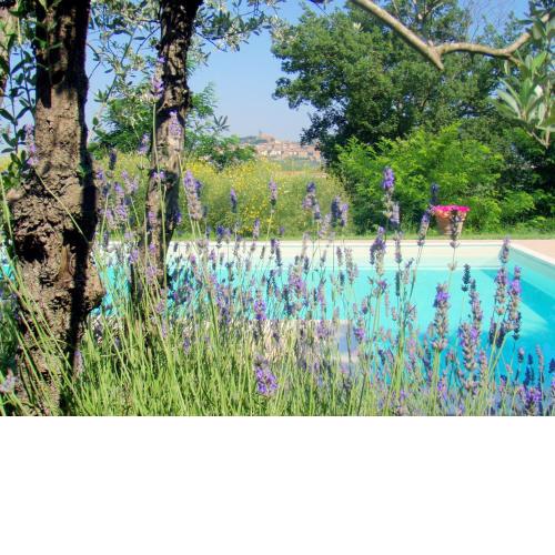 Holiday Home with Garden and Pool
