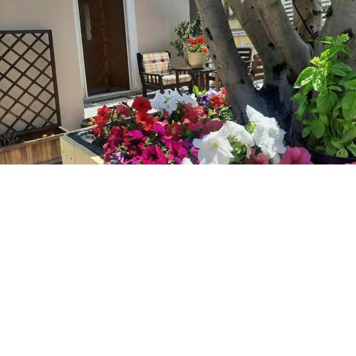 Holiday House NELLINA