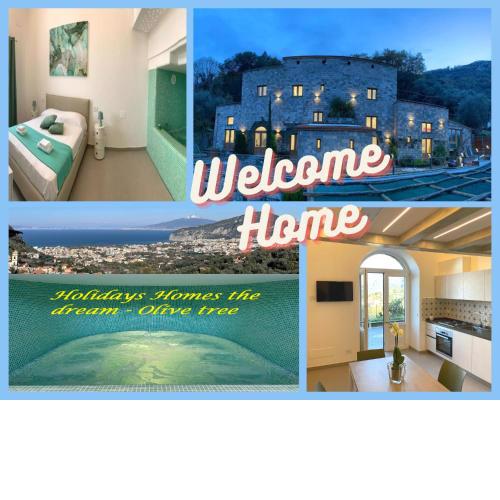 Holidays Homes The dream