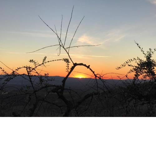 Holidays In The Heart Of Chianti