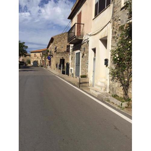 Home del Conte