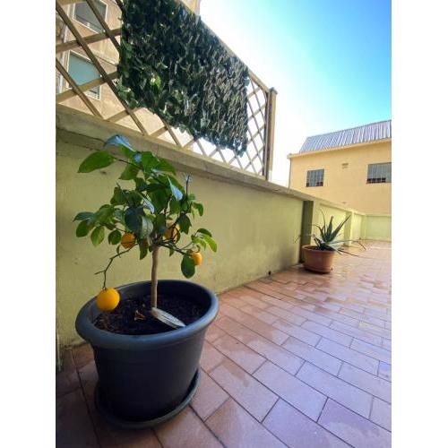 Home Fiumara