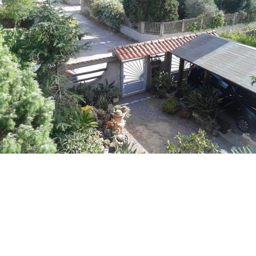 Home & Garden