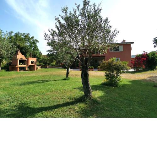 Home Garden