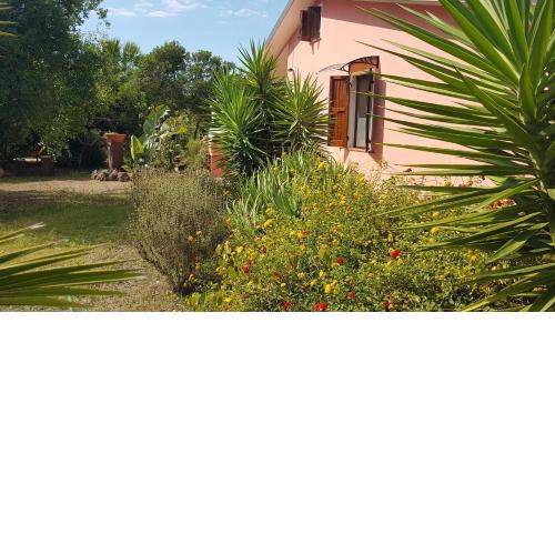 Home Holidays Pintadera 1