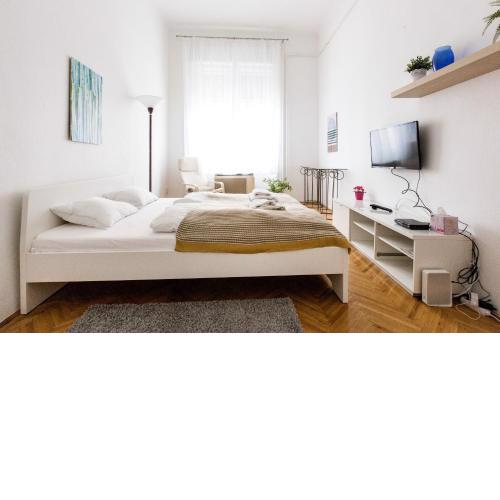Home in the living Budapest