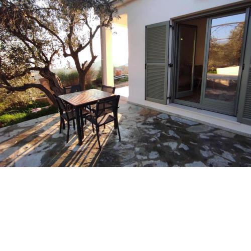 Home in the olive grove
