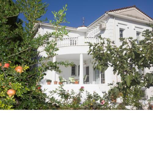 Home Katerina