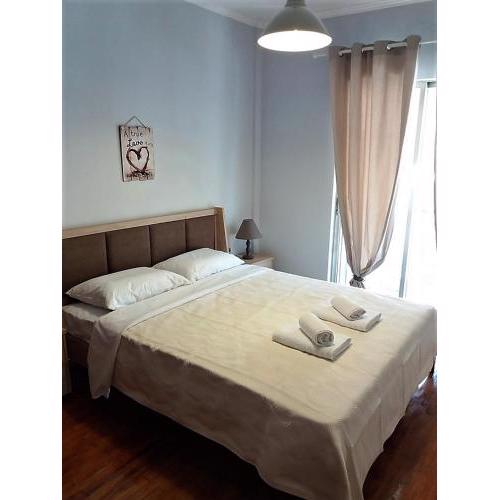 Homely Apartment