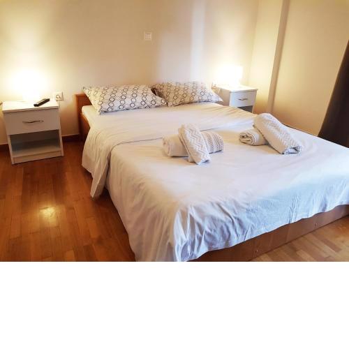 Homely Stay @Acropolis Museum