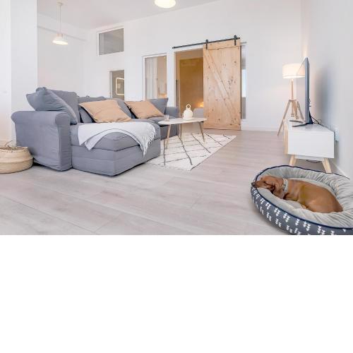 Homey apt Cómpeta