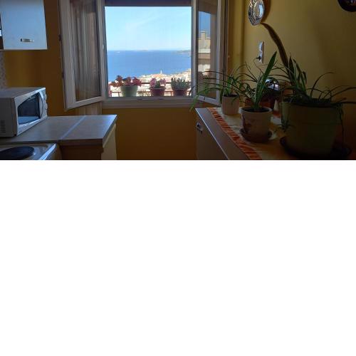 HorizonView Plakes
