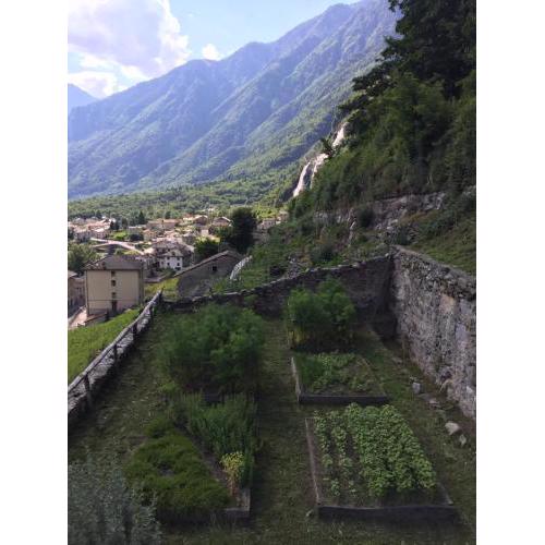 hortus conclus