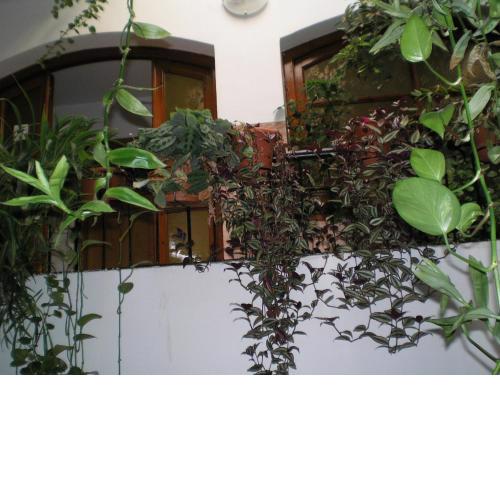 Hostal Maurin