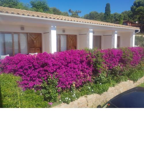 Hostal Ondina