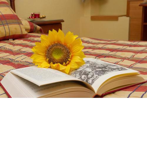 Hostal Siete Picos