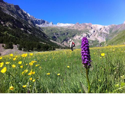 Hostel-Albergue Monte Perdido