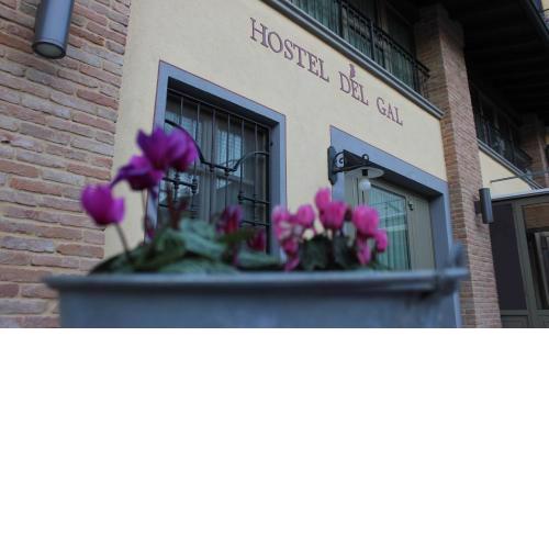 Hostel del Gal