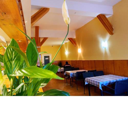 Hostel Nápoles