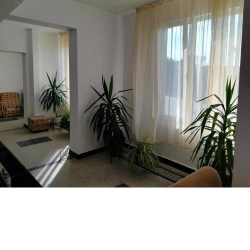 Hostel Shabla