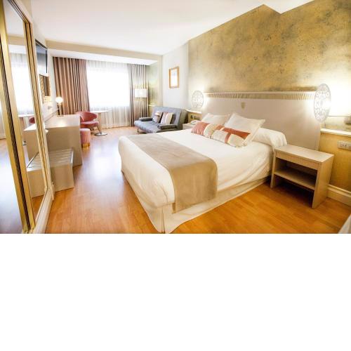 Hotel Alfonso VIII