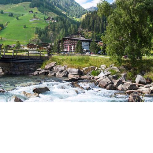 Hotel Alpenhof
