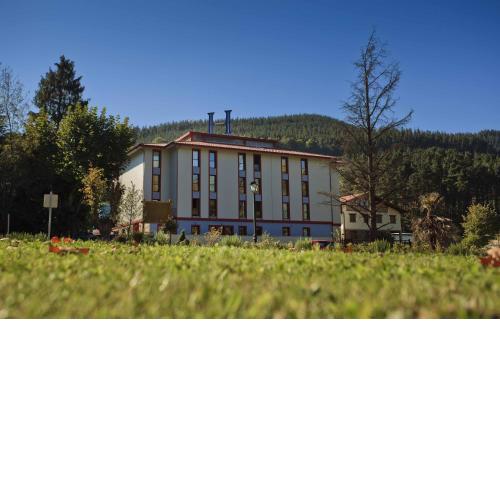 Hotel Balneario Areatza Nº 01224