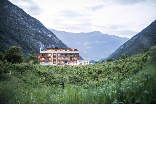 Hotel Burgaunerhof
