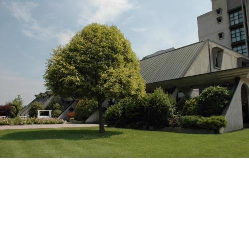 Hotel Cavallino