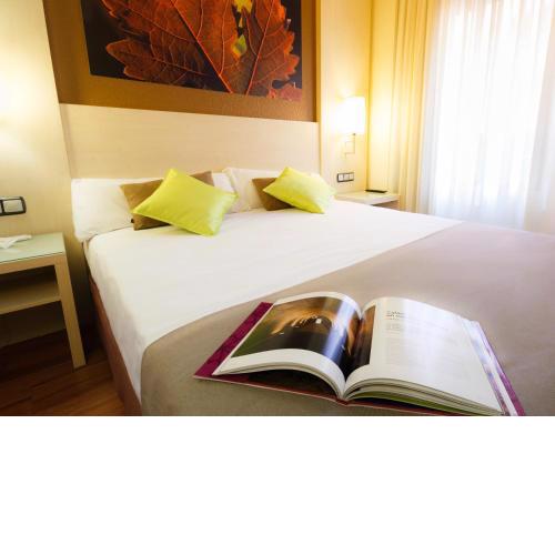Hotel Condes de Haro