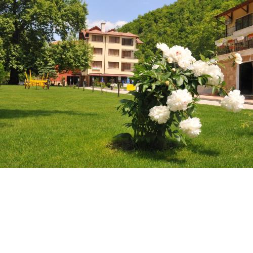 Hotel Delta