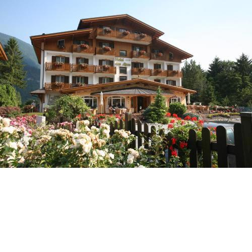 Hotel des Alpes