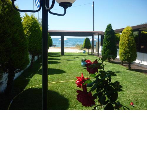 Hotel Dimitra