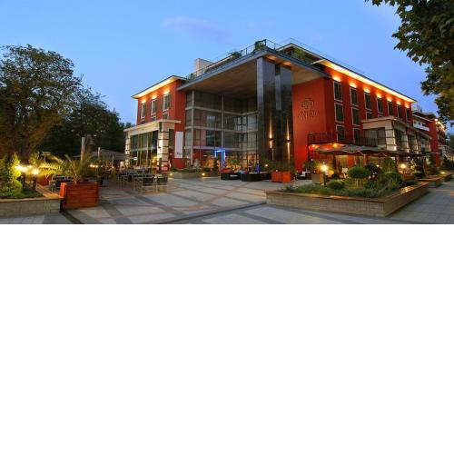 Hotel Divinus