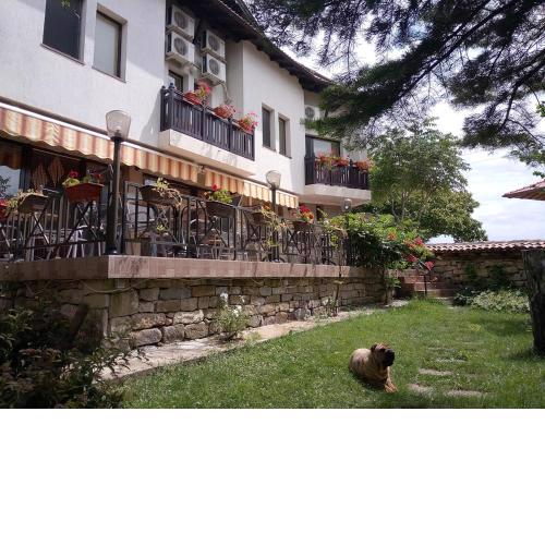 Hotel Elena