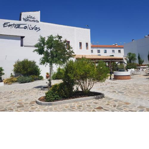 Hotel Entreolivos