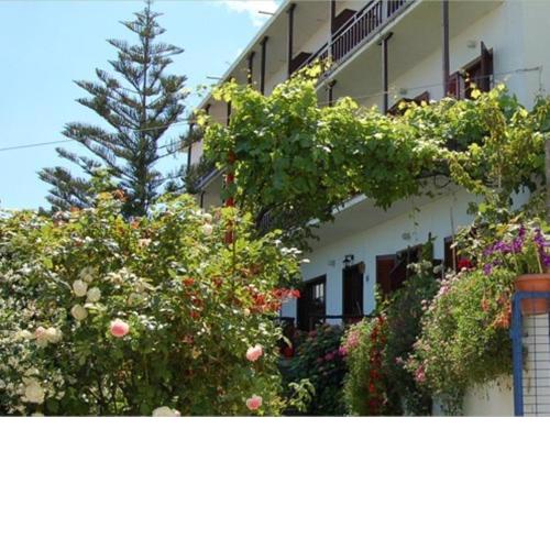Hotel Erato