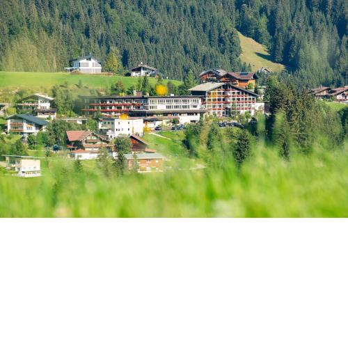 Hotel Erlebach