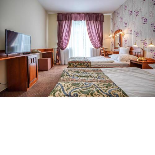 Hotel Erzsébet