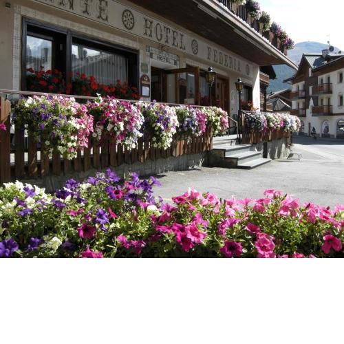 Hotel Federia