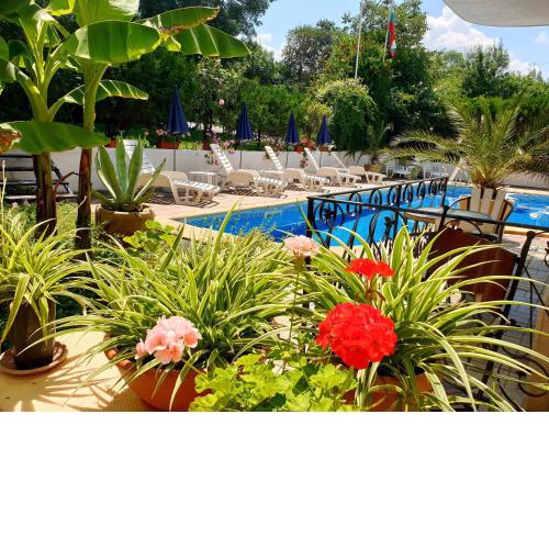 Hotel Feniks