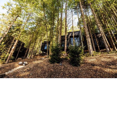 Hotel Fischerwirt Natur WaldSPA