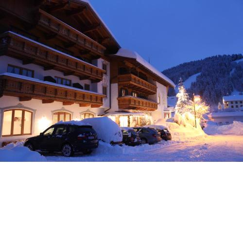 Hotel Frohnatur