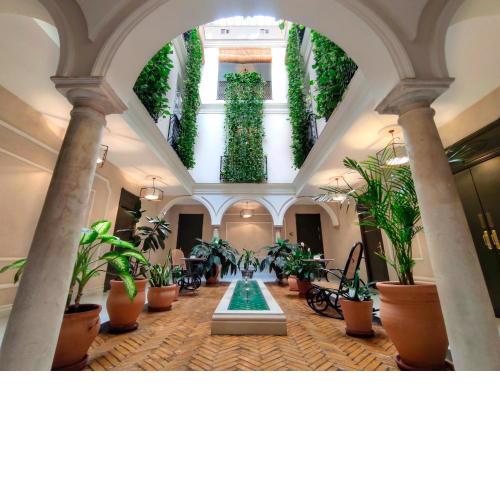Hotel Gravina 51